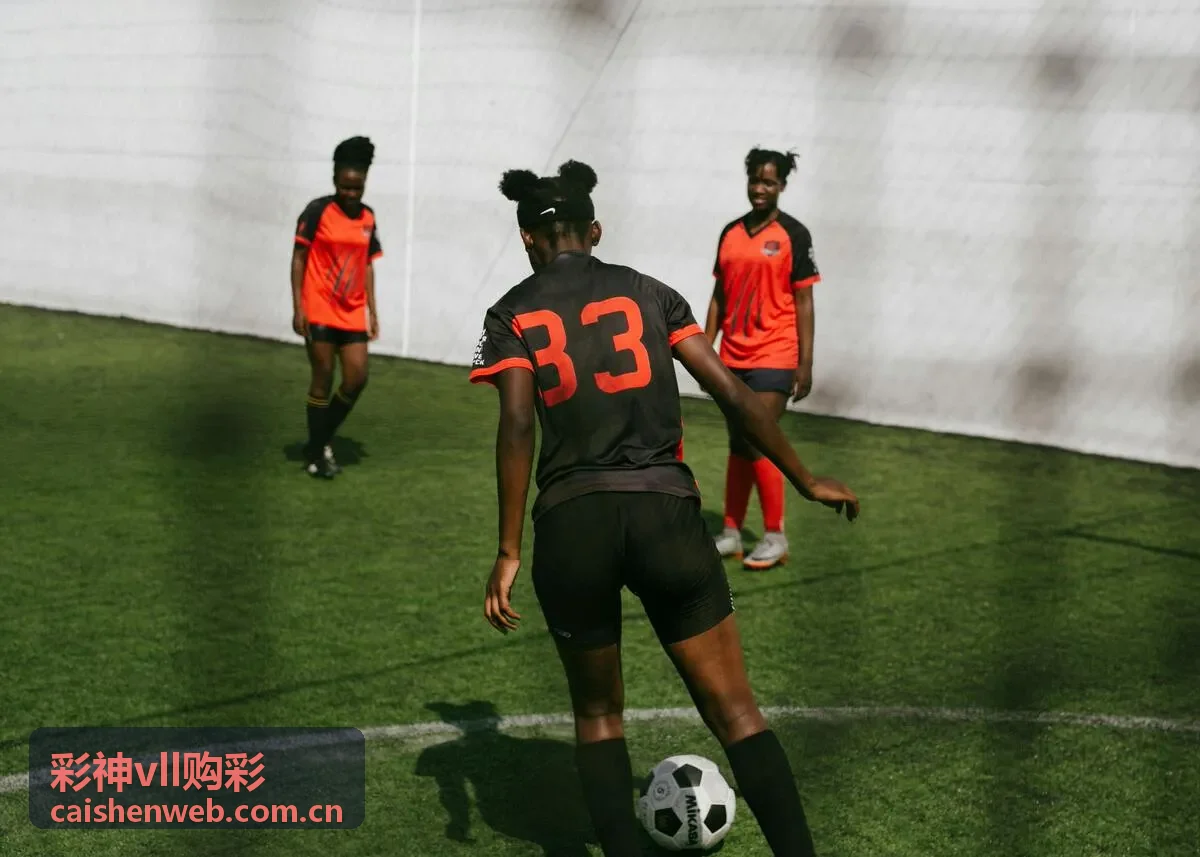 彩神vll购彩专题：走势图解读指南